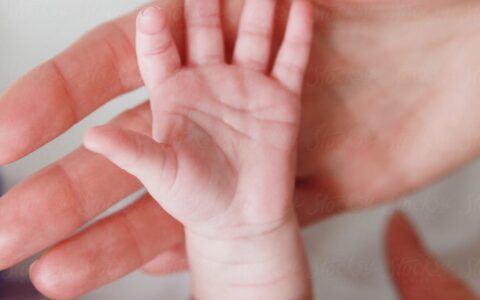 Hidden in Your Hand: The Ancient Link Between Palmistry and Pregnancy