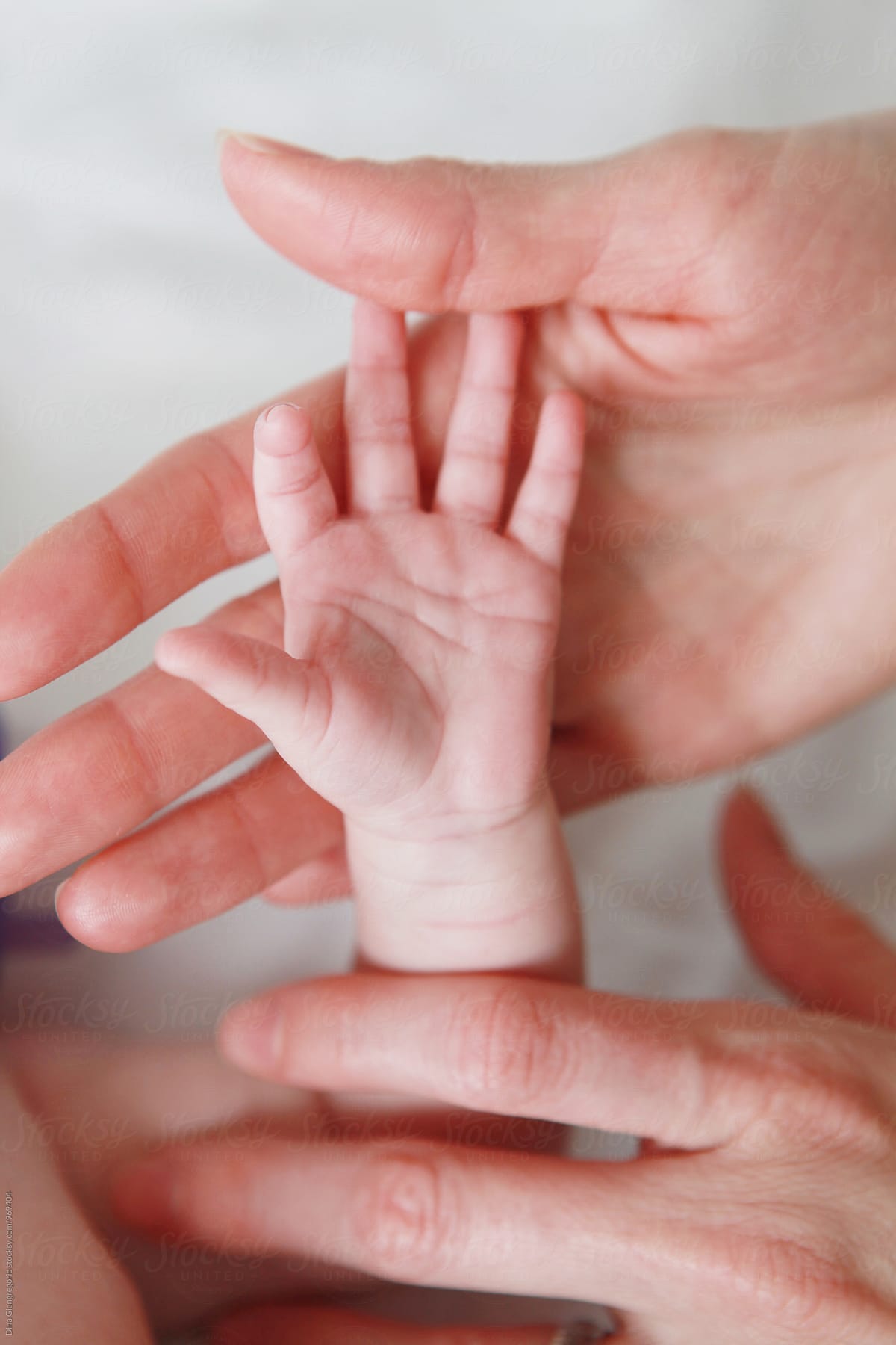 Hidden in Your Hand: The Ancient Link Between Palmistry and Pregnancy