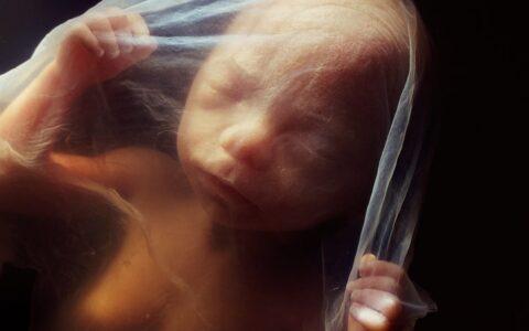 Womb Shadows: The Hidden Beginnings of Lifelong Diseases