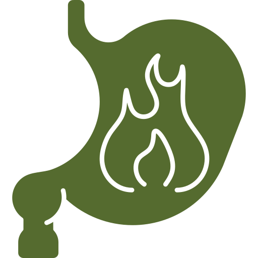 Agni Blossom Program